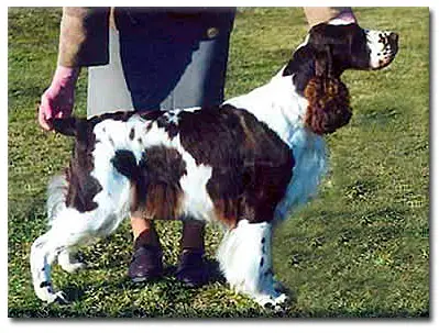 SU(U)CH Melverly Mystery Girl