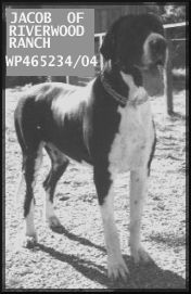 Jacob of Riverwood Ranch