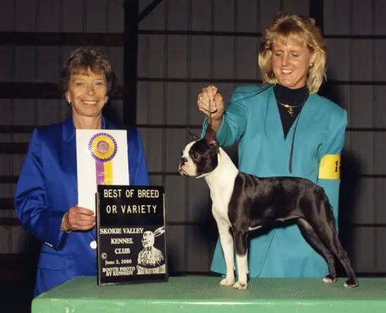 CH. AM. Motif'S Lillie Langtry Cd