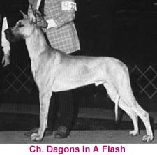 CH Dagon's In A Flash