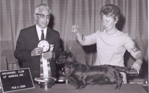 AM. CH Bayard La Jeannette L