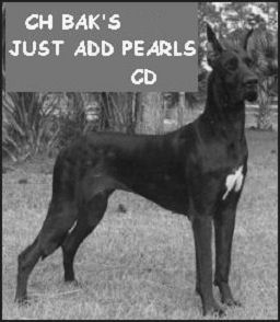 CH Bak's Just Add Pearls