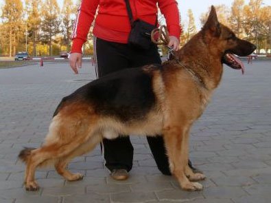 Zilber Wasserfall Duglas