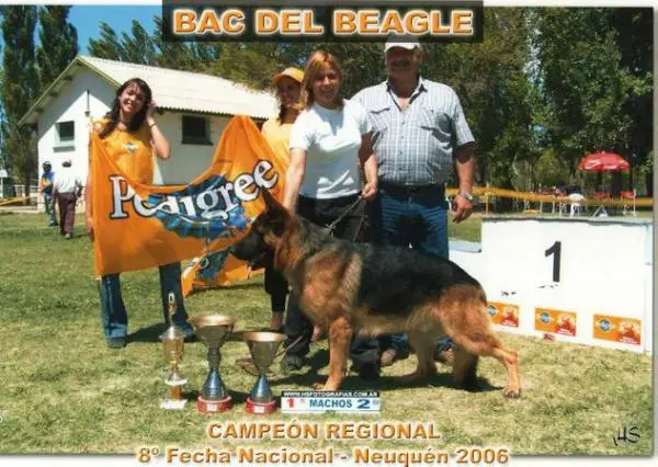 Bac del Beagle