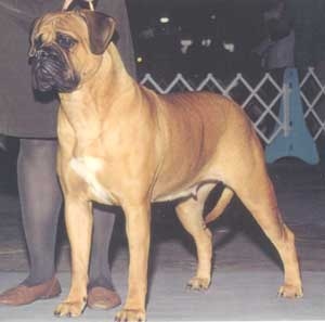 GRAWEL'S ANNA KRISTINA ROSE