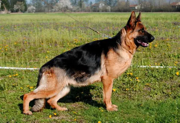 La Montana von Mining