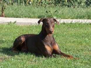 SG 1A Carla v.d. Burgstätte (2002)
