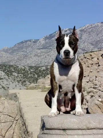 Ruby Says I Do – I Do