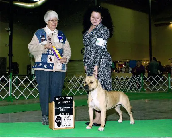 BISS GCH e-Ruffian.com Lil Heineken Girl