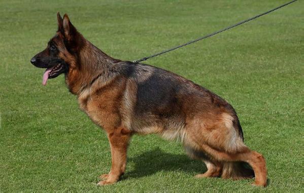 SG Xusa zur Worringer Rheinaue