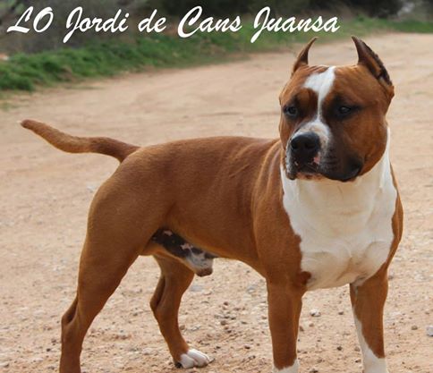 LO JORDI DE CANS JUANSA