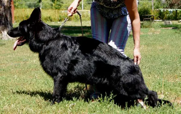 Zachar of Flokish Fest