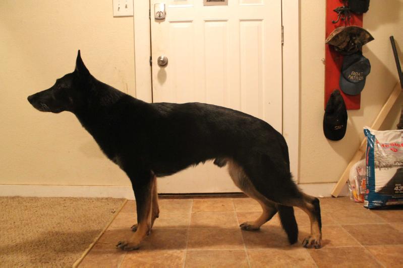 Edge von der Pflaumbachstraße