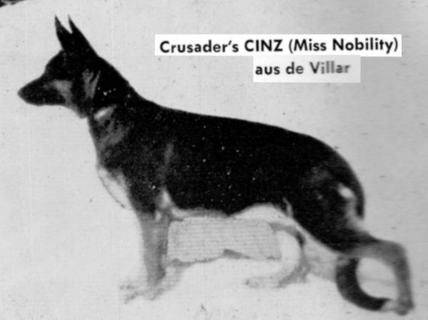 Crusader's Cinz Aus De Villar