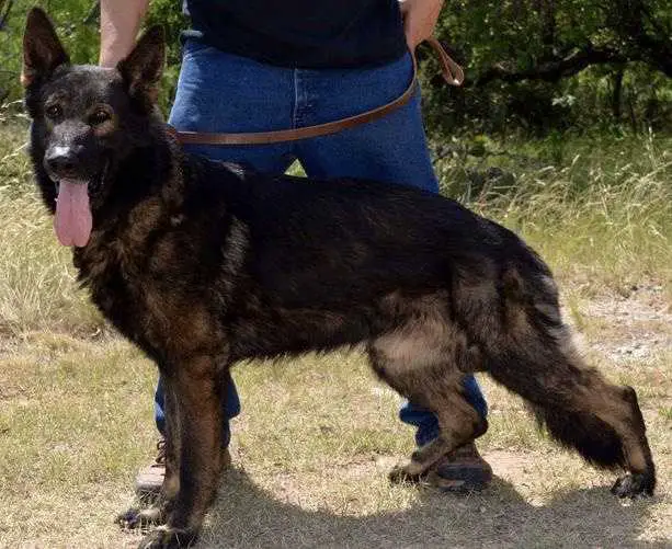 Kann z Jirkova Dvora