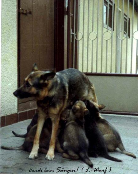 SG Condi vom Busecker Schloß