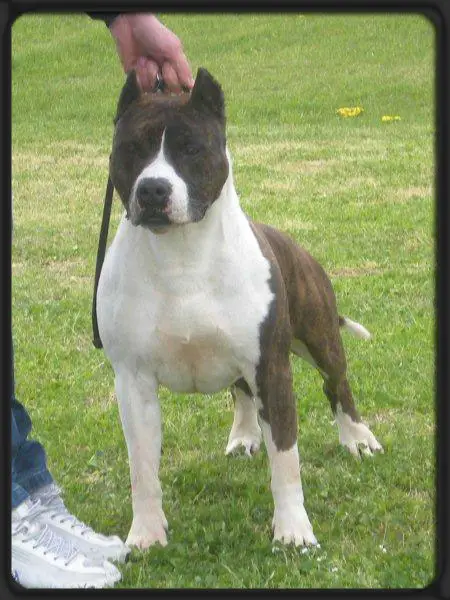 Mississippi-Red Ispanico I