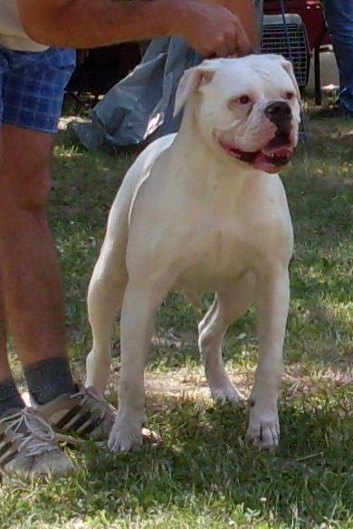 Molly of Backyard