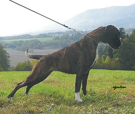 CWC, CAC, CACK Unity des Jardins de Pasifflore