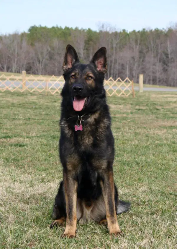 Valentino Von Sontausen