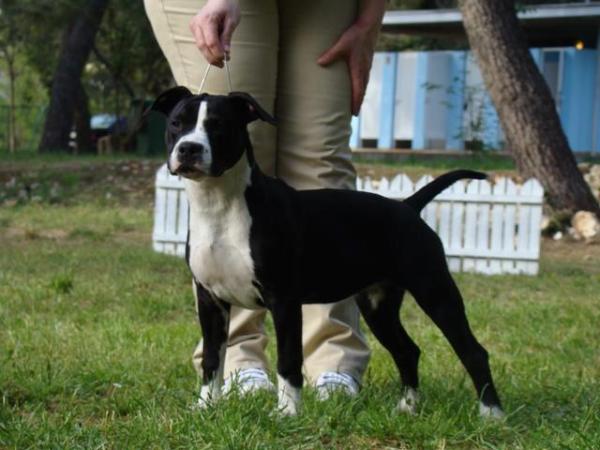 Without Make Up De Mandraka