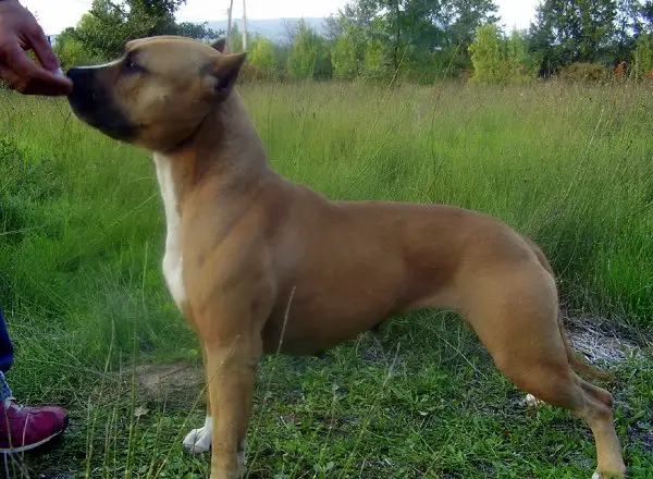 Bakaroro end itubori S'mystyk