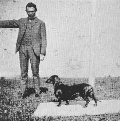 Wally Kickebusch