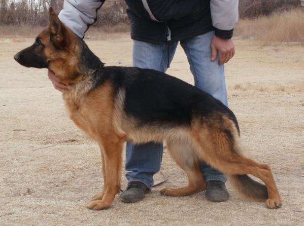 Bahia von grenzel haus