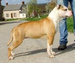 Birmany Madgix beautyful staff