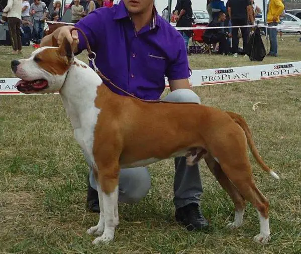 CH Lorenco