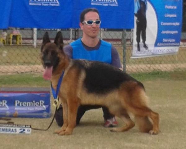 SG2, V1 (BR) Morena do Vale da Neblina