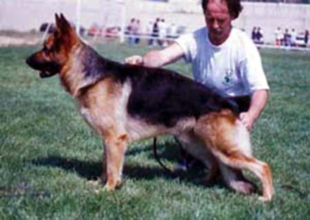 Paco di Santa Venere