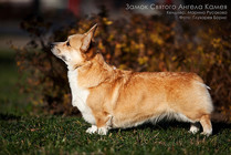 Zamok Svyatogo Angela Kamea