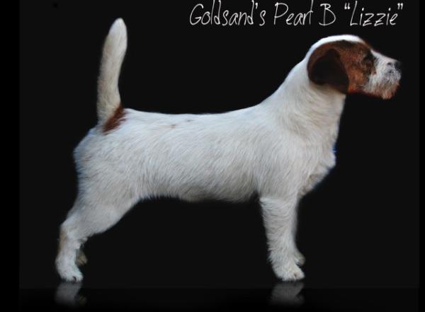 Goldsand's Pearl B