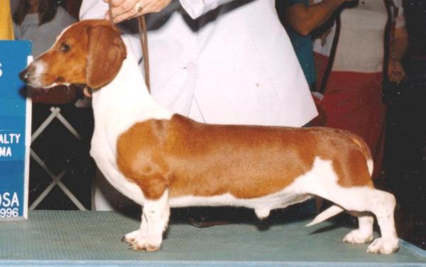 Duchwood's Red Alert