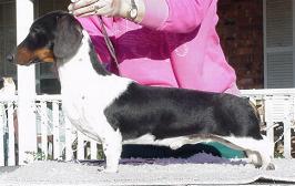 Kinder's Light Saber