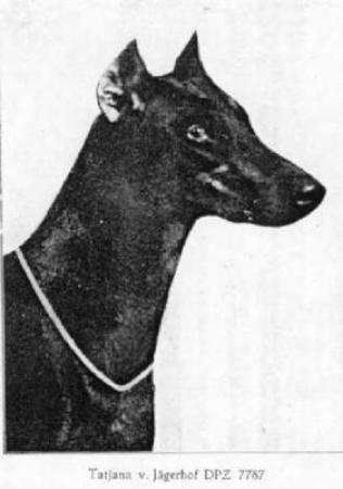 Tatjana von Jägerhof