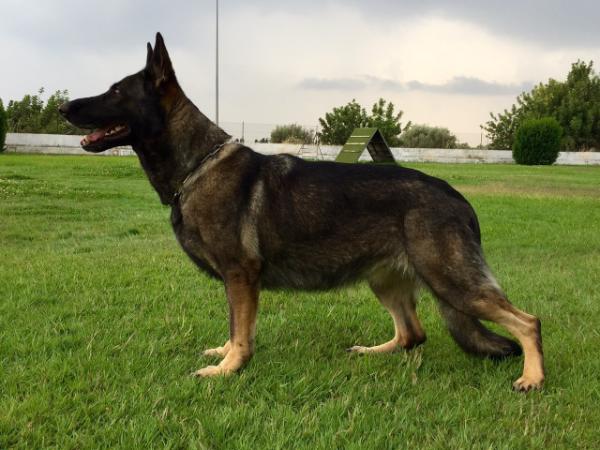 Una de Jardines del Real