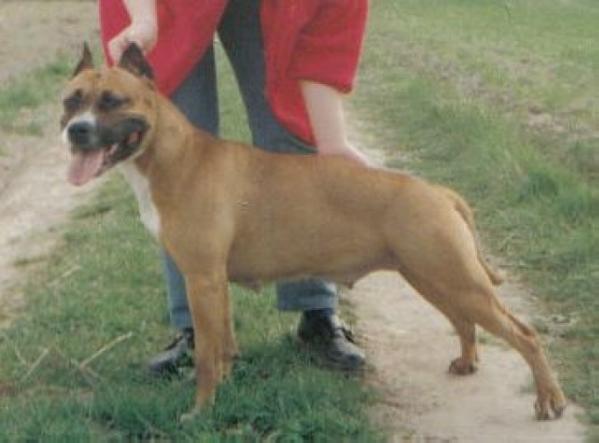 KOKO CHANNEL z Antuszy