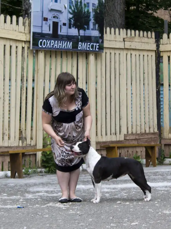 Crystal Way Amore Mia