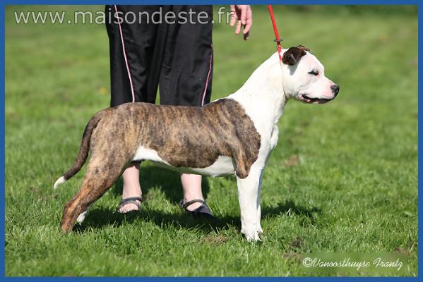 Francia De La Maison D'Este