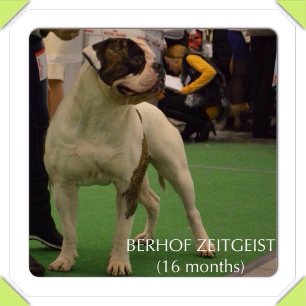 JCHUA, 3XCHUA BERHOF Zeitgeist