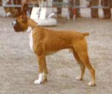 Hola Von der rombach