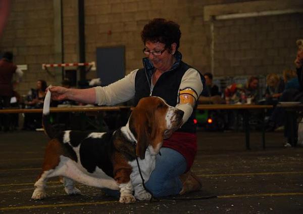 Gina Lollobrigida Z Valachitu