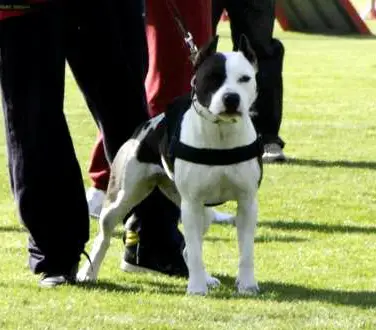 Asera East of The Sun aka Kira