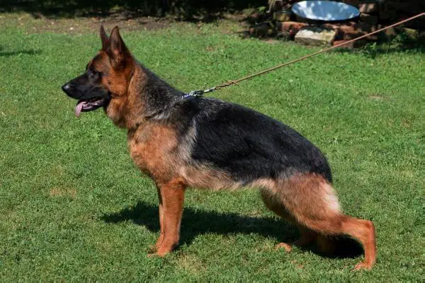 Story vom Funken Spiel