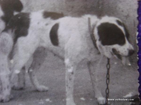 Goyunchi I 'ow.Kyarizov'