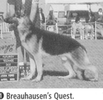 CH (US) Breauhausen's Quest