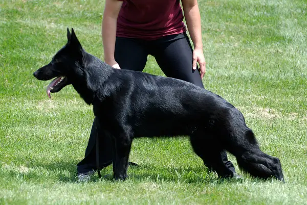 Lakota of My BodyGuard