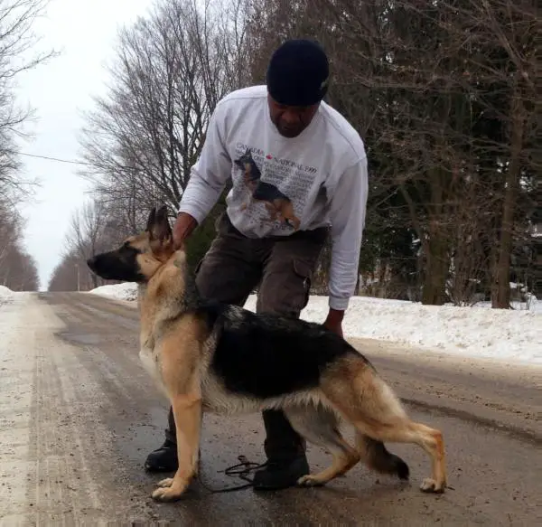 Raylex's Phunky Pheobe